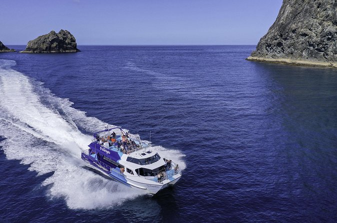 The Original Full day Bay of Islands Cruise with Dolphins - Who will enjoy this cruise most