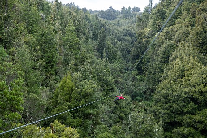 The Ultimate Canopy Zipline Experience Private Tour From Auckland - From the Bombay Hills to Tirau