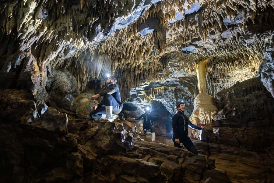 The Waitomo Experience : Okohua Glowworm Cave Tour - Why this Waitomo tour feels different