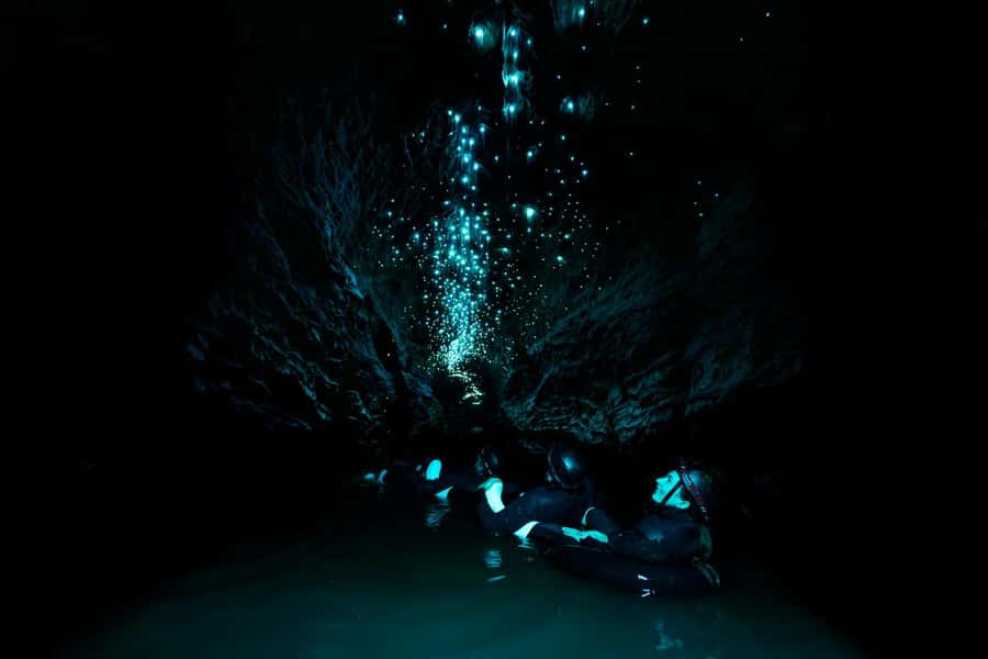 The Waitomo Experience : Okohua Glowworm Cave Tour - Inside Okohua Cave: water, limestone, and darkness