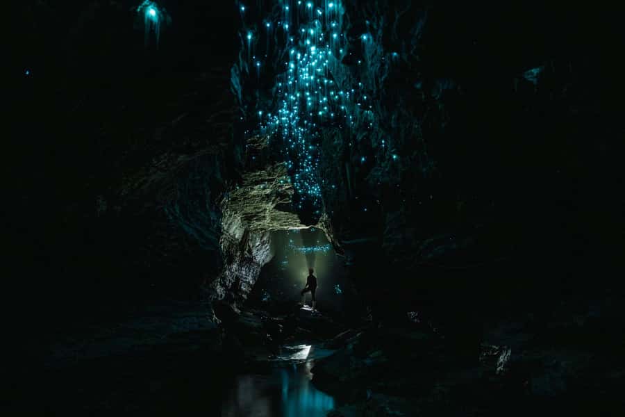The Waitomo Experience : Okohua Glowworm Cave Tour - Black water rafting without losing the sense of place