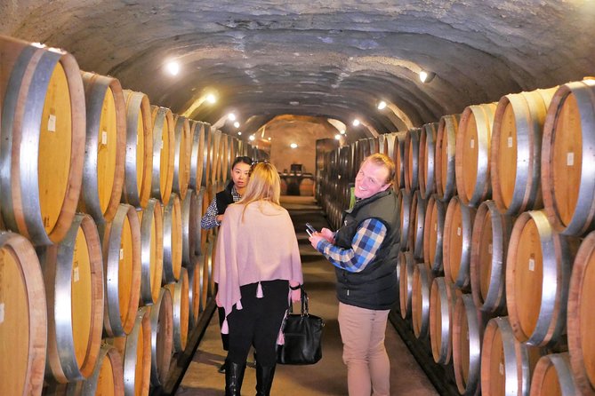 The Wine Trail Tour - A smaller-vineyard route through Gibbston