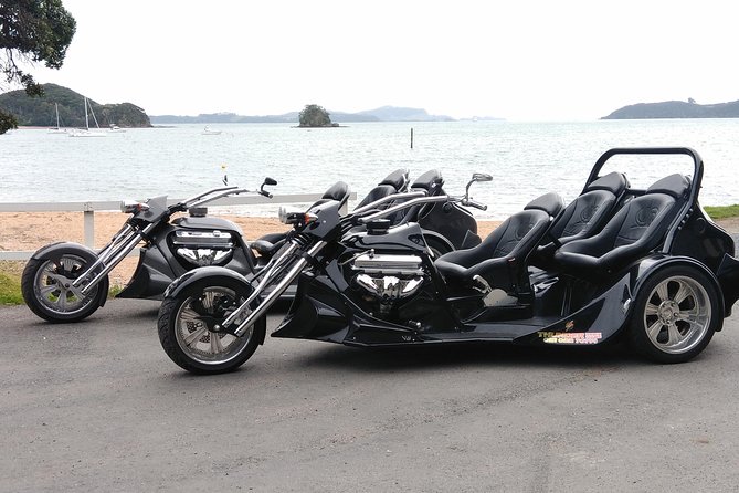 Thriller Tour - Bay of Islands, 30 mins (min 2) - Meeting in Paihia and returning to the same spot