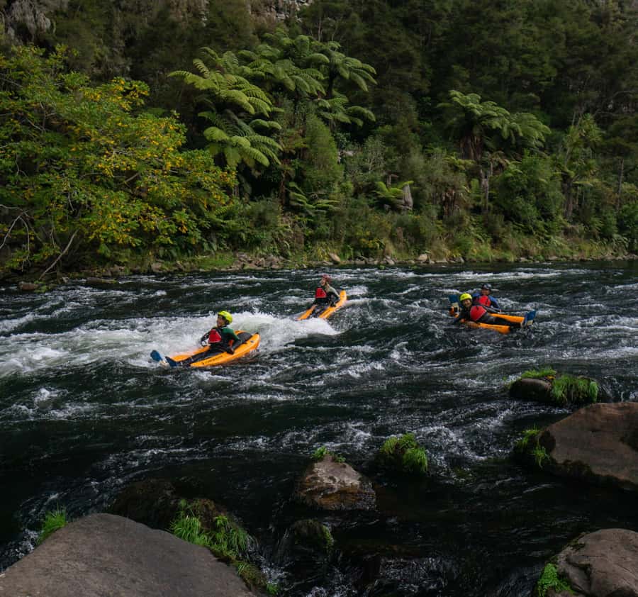 Thrilling Riverbug Adventure on the Rangitāiki River - Key points at a glance