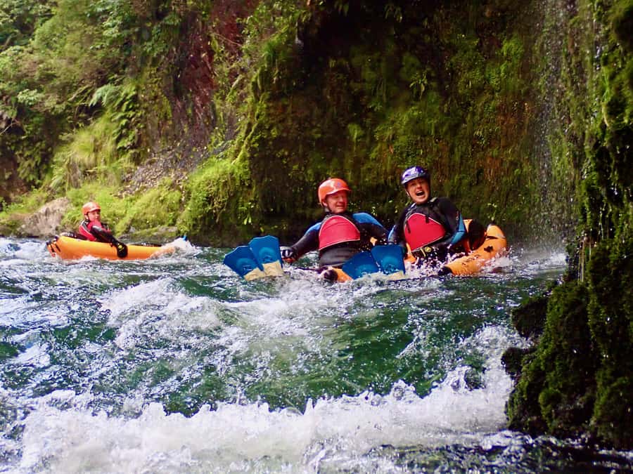 Thrilling Riverbug Adventure on the Rangitāiki River - Why the Rangitāiki River makes a great setting