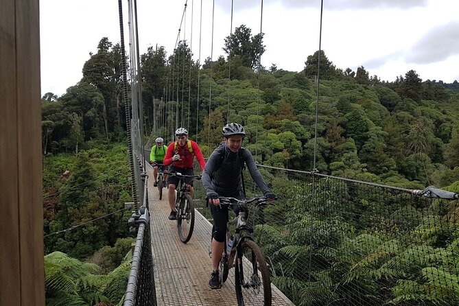 Timber Trail - Ongarue to Pureora Shuttle 2 Day Ride - Why the Timber Trail works as a two-day ride