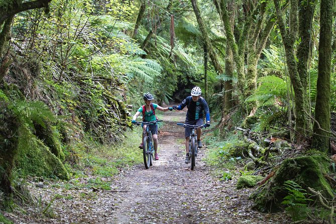 Timber Trail - Ongarue to Pureora Shuttle 2 Day Ride - From Ongarue to Pureora by shuttle