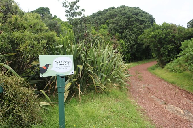 Tiritiri Matangi Island Discovery - from Auckland - The easy walk to Hobbs Beach