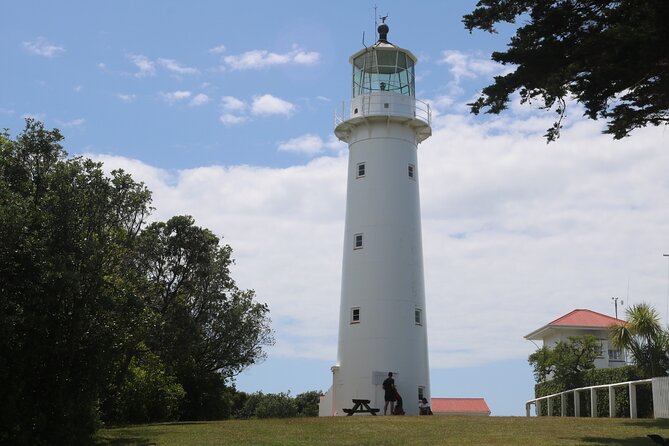Tiritiri Matangi Island Discovery - from Auckland - Weather, shoes, and what to pack