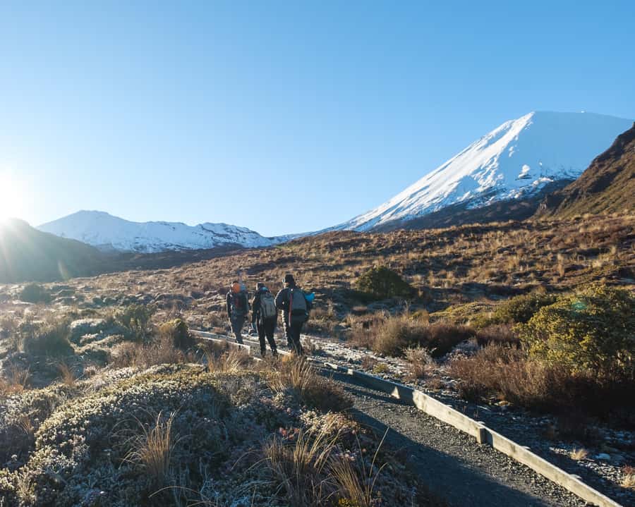 Tongariro Alpine Crossing: Premium Guided Hike - From native bush to open volcanic country