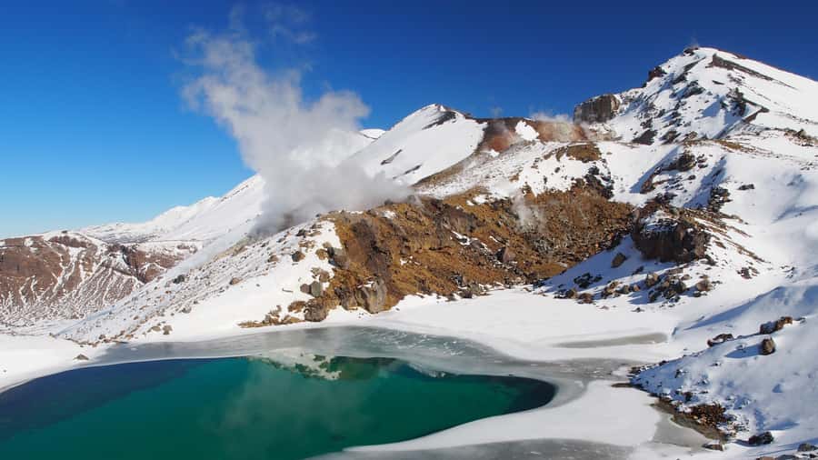 Tongariro Alpine Crossing: Premium Guided Hike - What $254 per person really covers