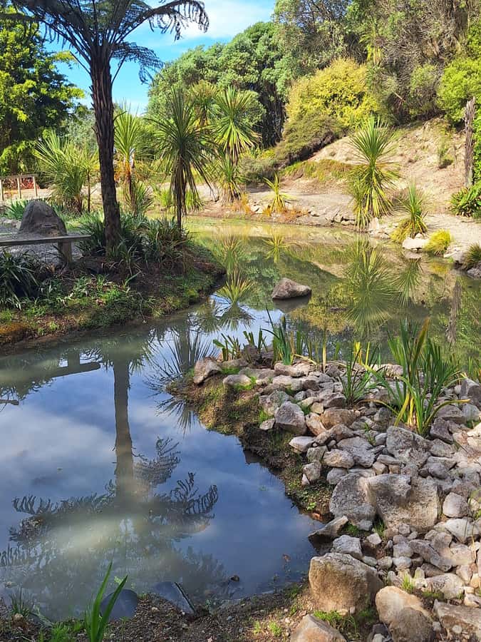 Tour of the Bay, Te Puna Sculpture Park and Historic Village - Key points to know before you book