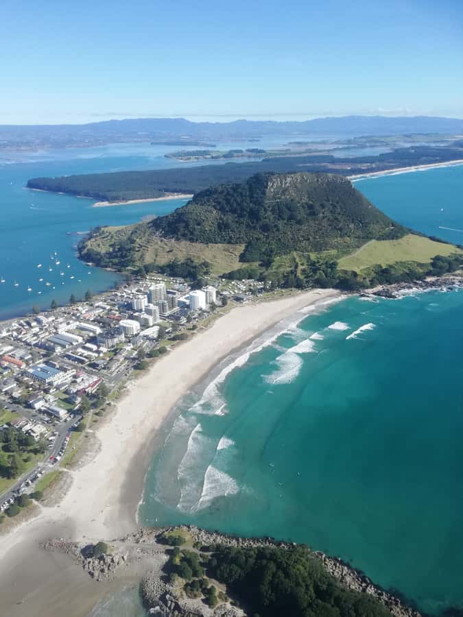 Tour of the Bay, Te Puna Sculpture Park and Historic Village - What the small group changes