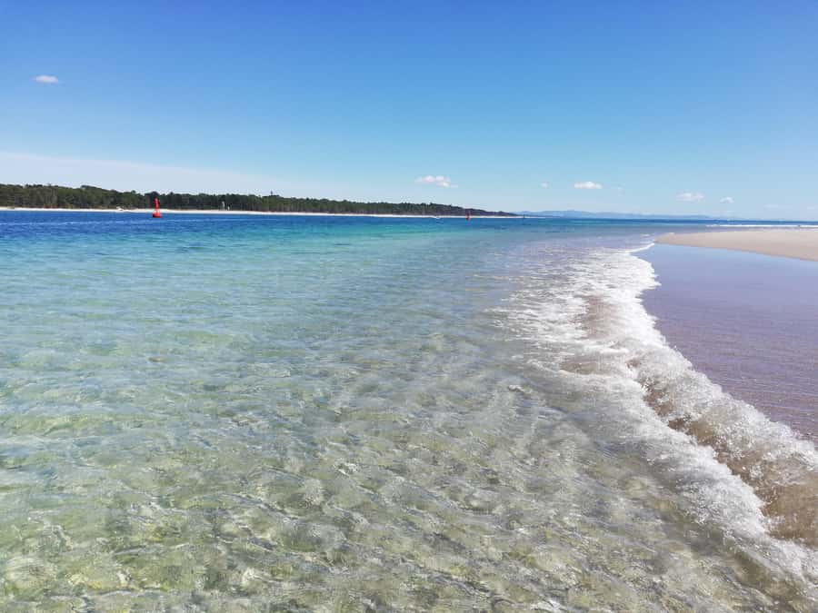 Tour of the Bay, Te Puna Sculpture Park and Historic Village - Who will enjoy this experience most