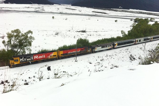 Tranz Alpine Train Tour - Why this Christchurch day trip works so well