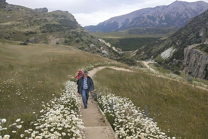 Tranz Alpine Train Tour - The return to Christchurch by car