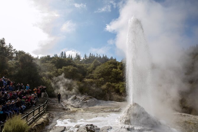 TRIPLE DEAL Wai-O-Tapu, Redwood Forest & Blue Springs Ex Auckland - Tirau’s corrugated-iron Dog and Sheep