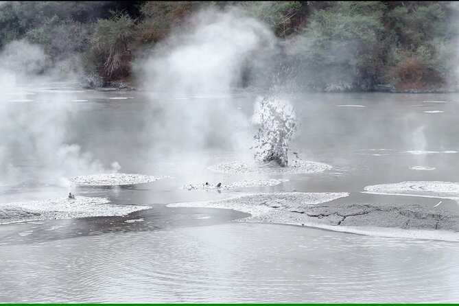 TRIPLE DEAL Wai-O-Tapu, Redwood Forest & Blue Springs Ex Auckland - Guides, group size, and the feel of the day
