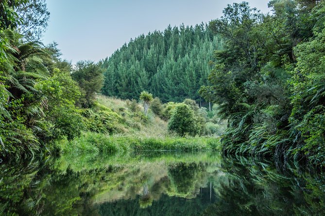 Twilight Glowworm Kayak Tour – Lake Karapiro - Key points to know before you go