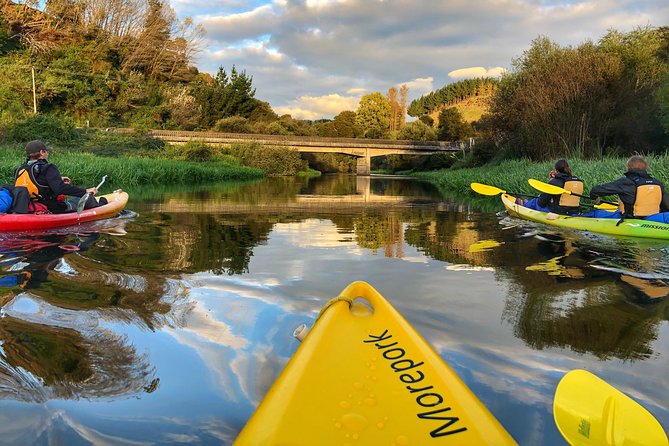 Twilight Glowworm Kayak Tour – Lake Karapiro - The paddle suits beginners, but it still takes effort