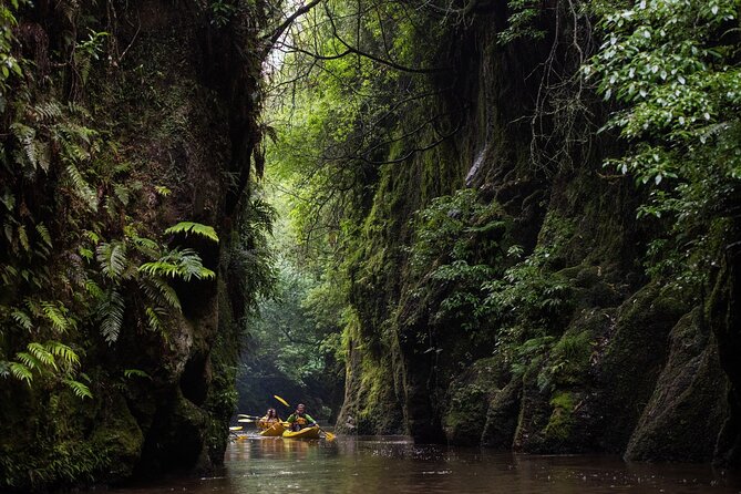Twilight Glowworm Kayak Tour – Lake Karapiro - The dark return is the real highlight