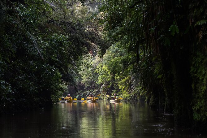 Twilight Glowworm Kayak Tour – Lake Karapiro - What the $92.47 price includes
