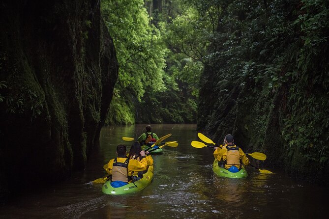 Twilight Glowworm Kayak Tour – Lake Karapiro - Practical details that make the trip easier