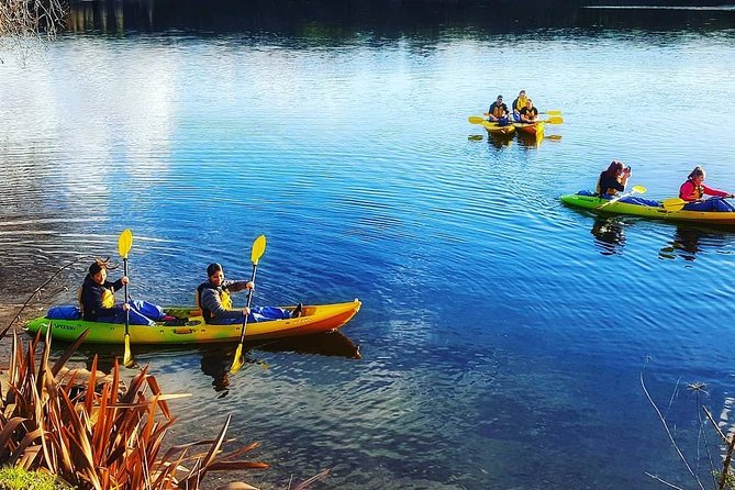 Twilight Glowworm Kayak Tour – Lake Karapiro - Dusk brings out the birds, plants, and rock walls