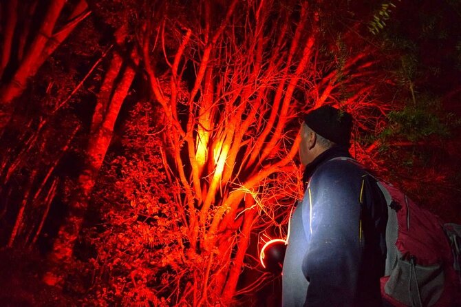 Twilight Wild Kiwi Bird Encounter Private Tour - Matakana dinner beside the river