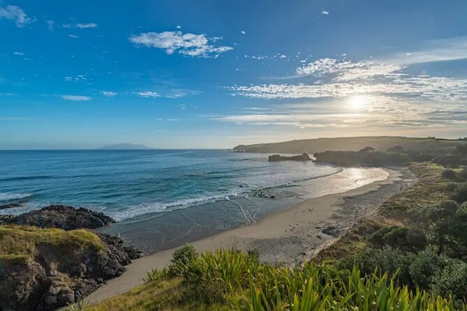 Twilight Wild Kiwi Bird Encounter Private Tour - Entering predator-free Tāwharanui after dark