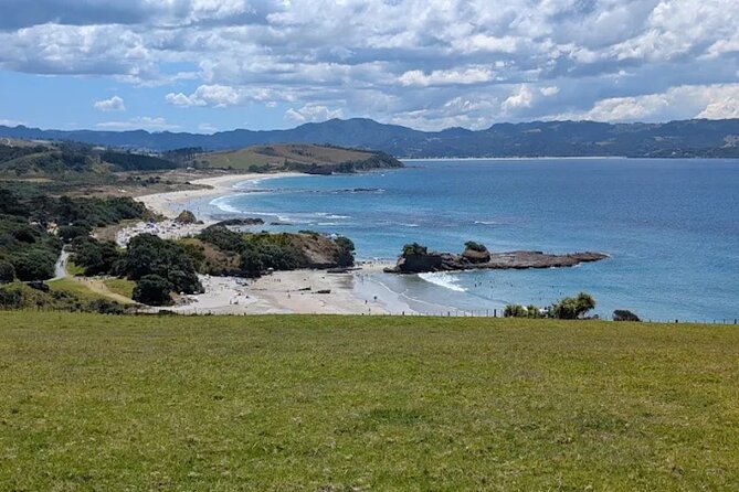 Twilight Wild Kiwi Bird Encounter Private Tour - Is $589.54 per person good value?