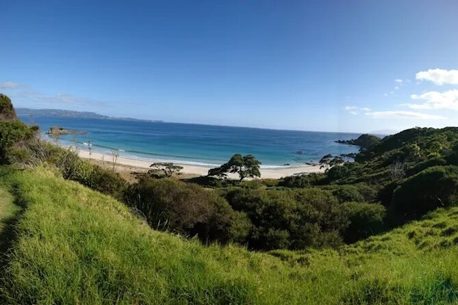 Twilight Wild Kiwi Bird Encounter Private Tour - Who will enjoy this private evening?