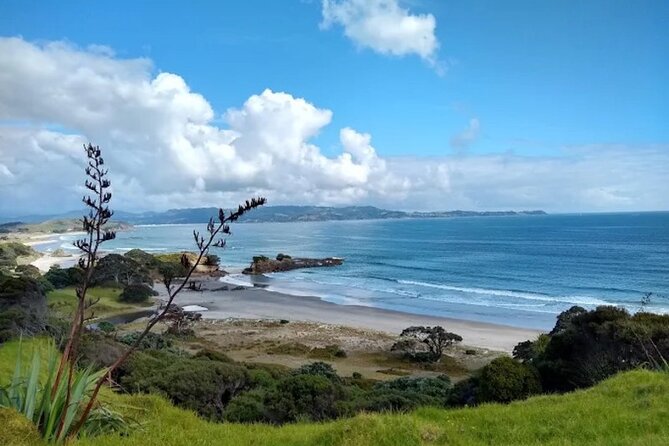 Twilight Wild Kiwi Bird Encounter Private Tour - Timing, food, and booking details