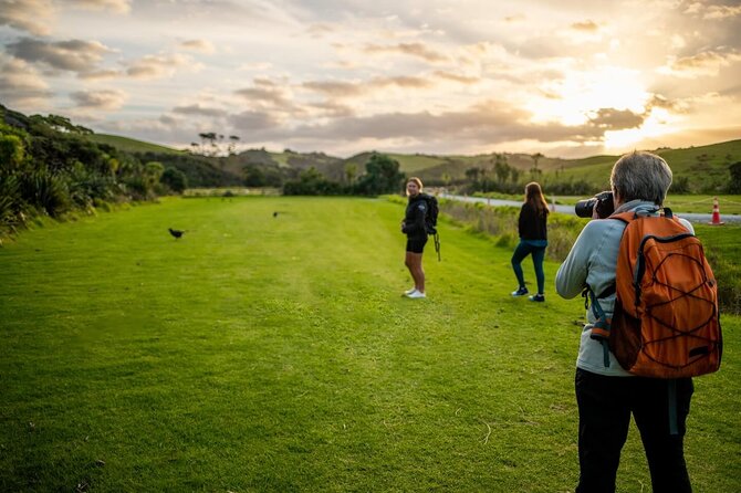 Twilight Wild Kiwi Bird Encounter Private Tour - The drive from Auckland to Tāwharanui