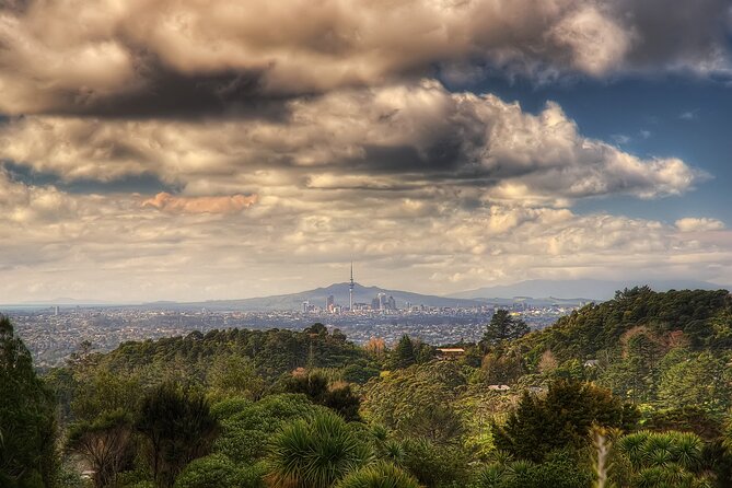 Ultimate Auckland Experience Full Day Tour with Brewery Lunch - Why this Auckland day works so well