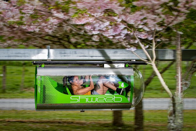 Velocity Valley Rotorua - Agrojet gives families a shared speed rush
