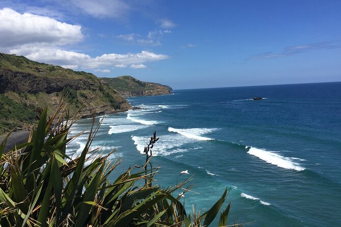 Vineyards Honey and Black Sand Beaches from Auckland - Kumeu River Wines: a proper introduction to Auckland wine