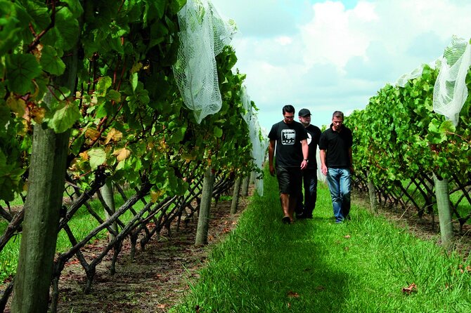 Vineyards Honey and Black Sand Beaches from Auckland - Is $183.07 a fair price?