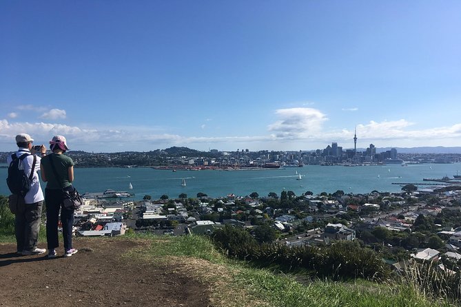 Volcanoes, Coasts, and Secret Spots Afternoon Tour in Auckland - Starting at 2:00 pm from central Auckland