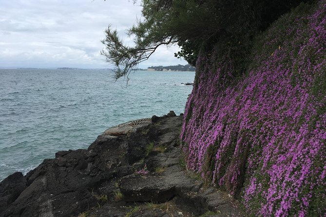 Volcanoes, Coasts, and Secret Spots Afternoon Tour in Auckland - Who will enjoy this North Shore outing