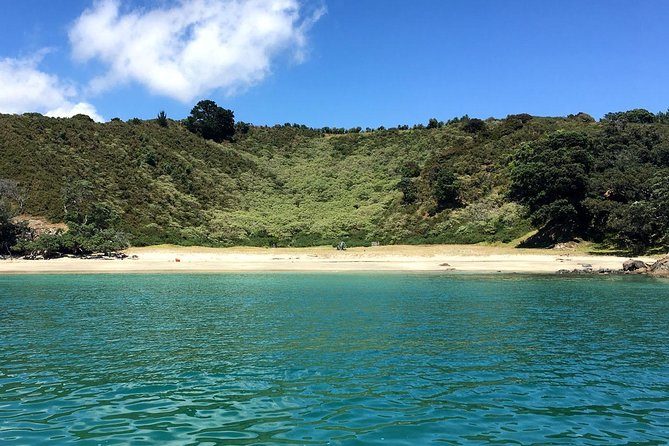 Waiheke Island Bush & Beach Walk - Key points to know before you book