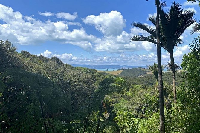 Waiheke Island Bush & Beach Walk - The guides can shape the day