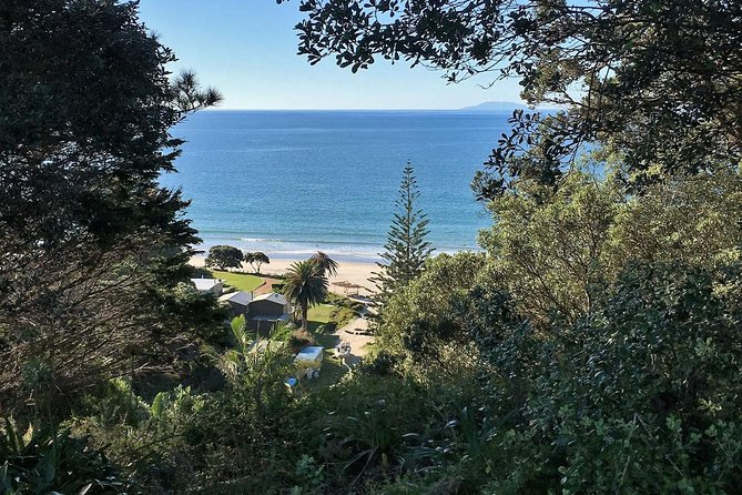 Waiheke Island Bush & Beach Walk - Who should book the Waiheke walk