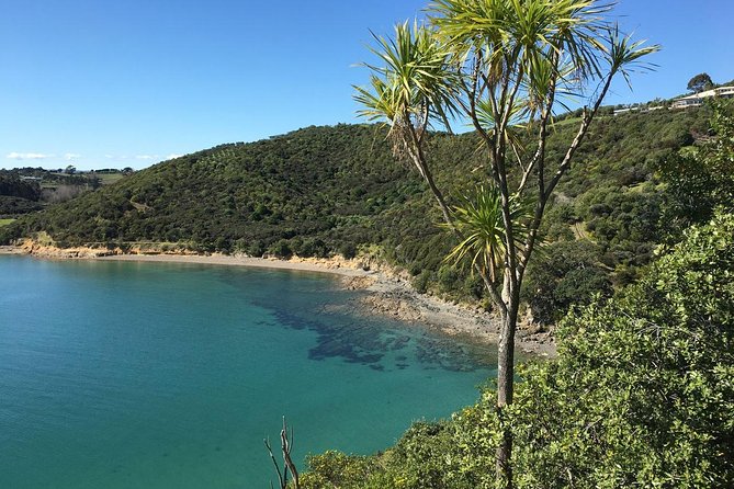 Waiheke Island Double Headland Coastal Walk - Oneroa provides a well-timed lunch break