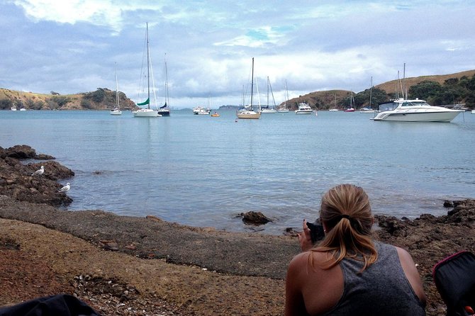 Waiheke Island Double Headland Coastal Walk - Why the small group changes the walking experience