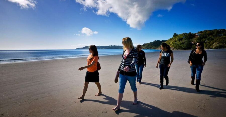 Waiheke Island: Ferry & Hop-On Hop-Off Explorer Bus Tickets - Oneroa, shops, galleries, and food