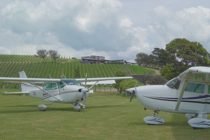Waiheke Island - Fly and Dine (from North Shore Airport) - What the ferry adds to the experience