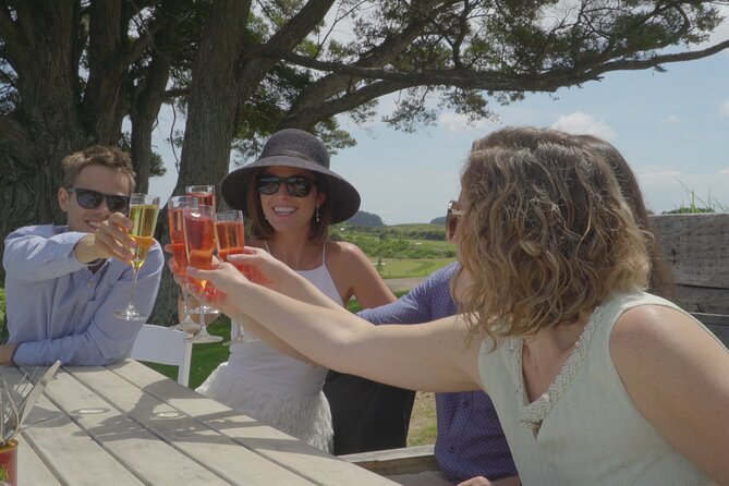 Waiheke Island - Fly and Dine (from North Shore Airport) - Who will get the most from this Waiheke trip?