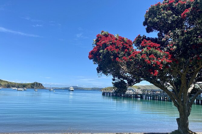 Waiheke Island Gourmet Food and Wine Tour - Kennedy Point Vineyard and the first taste