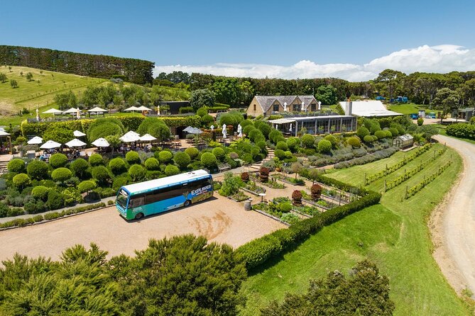 Waiheke Island Hop-On Hop-Off Explorer Bus - Matiatia to Oneroa: your easiest first stop